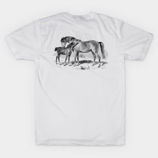 A Foal with Mare, Horses Vintage Black & White  Illustration T-Shirt